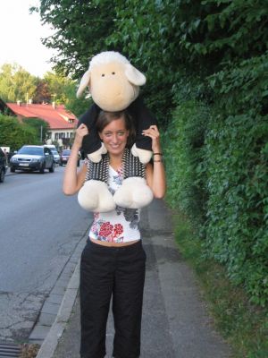 Klicken für Bild in voller Größe
