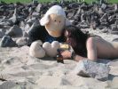 SoD mit Jochen Strand Vollerwiek.JPG