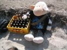 SoD-Strand Vollerwiek mit Bierkasten.JPG
